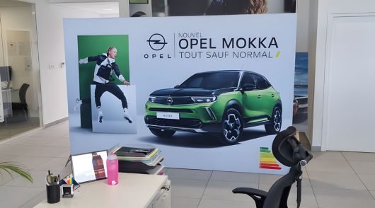 13_upscayl_4x_realesrgan-x4plus