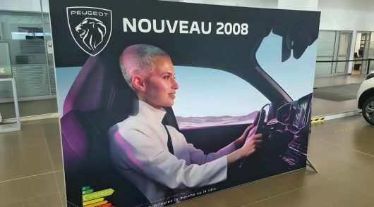 21_upscayl_4x_realesrgan-x4plus