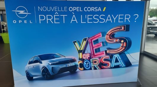 22_upscayl_4x_realesrgan-x4plus