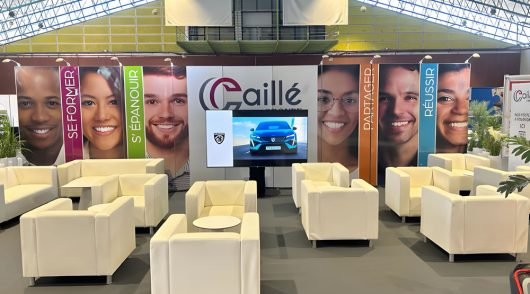 34_upscayl_4x_realesrgan-x4plus